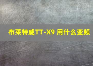 布莱特威TT-X9 用什么变频